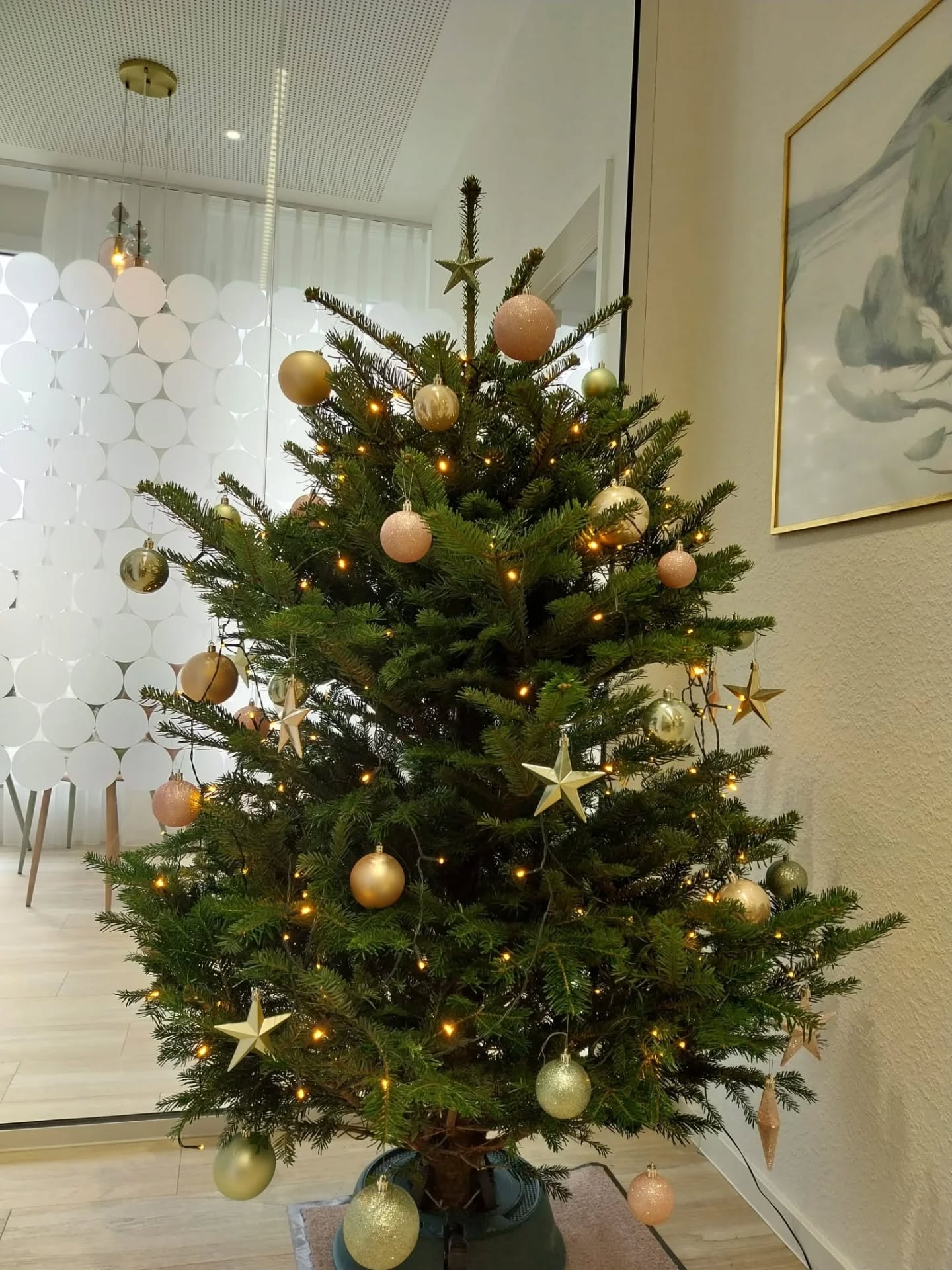 🎄 Unsere Praxis-Weihnachtsbäume stehen und ...